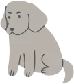 pethotel_img11