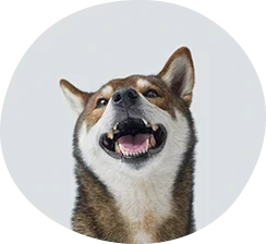 pethotel_listimg5_2